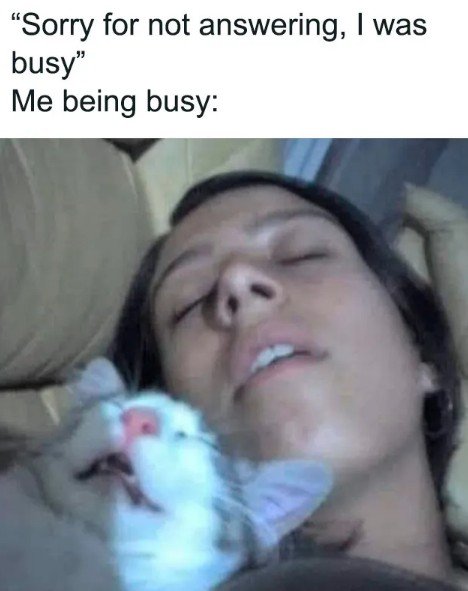 Sleeping, Photography, Portrait. Text: "Sorry for not answering, I was busy" Me being busy: