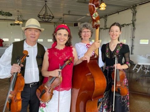 Hat, Violin, Person.