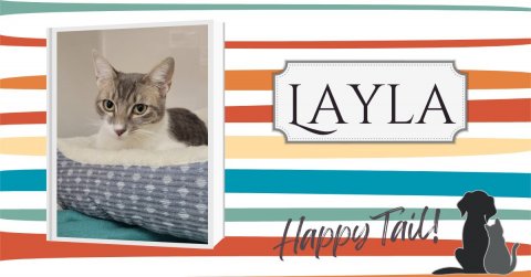 Cat, Pet, Dog. Text: Happy Tail!