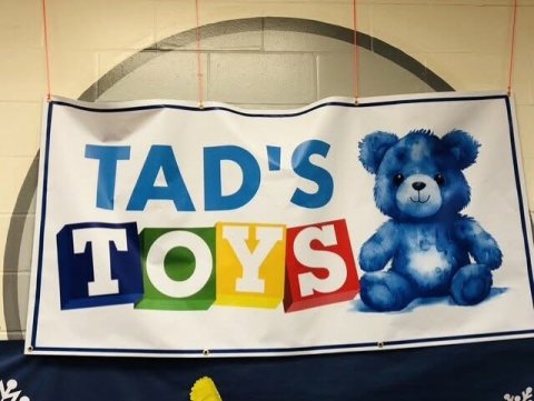 Text, Banner, Number. Text: TAD'S T O Y S