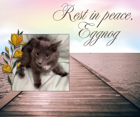 Waterfront, Wood, Pier. Text: Rest in peace,