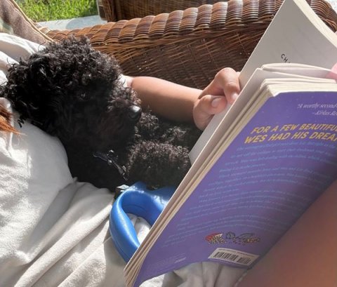 Reading, Book, Publication. Text: FOR A FEW BEAUTIFU