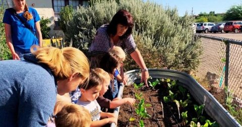 Garden, Outdoors, Gardening.