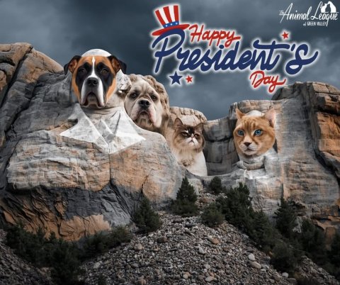 Canine, Dog, Cat. Text: Happy Day