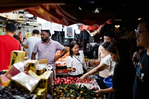 Adult, Person, Woman.