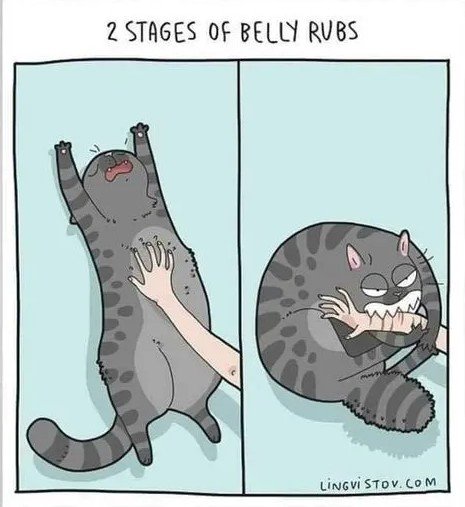 Book, Comics, Publication. Text: 2 STAGES OF BELLY RUBS