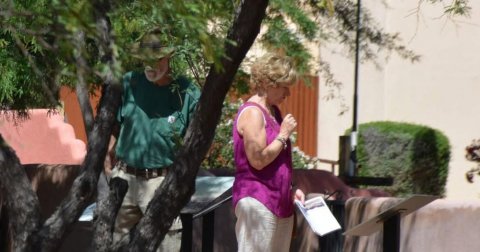Person, Walking, Potted Plant.