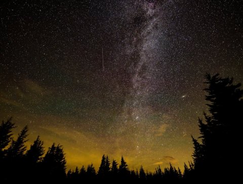 Nature, Night, Tree.