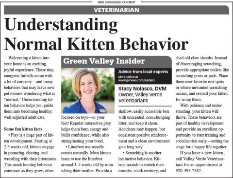 Newspaper, Text, Person. Text: PAID SPONSORED CONTENT VETERINARIAN Understanding Normal Kitten Behavior shed old claw sheaths. Instead Green Valley Insider your home is an exciting, of discouraging scratching. provide appropriate outlets like Advice from local experts energetic furballs come with scratching posts or pads. Place them near favorite rest spots a lot of curiosity-and many behaviors that may leave new or where unwanted scratching Stacy Nolasco, DVM per owners wondering what is owner, Valley Verde occurs, and reward your kitten "normal." Understanding kit- for using them. Veterinarians ten behavior helps you