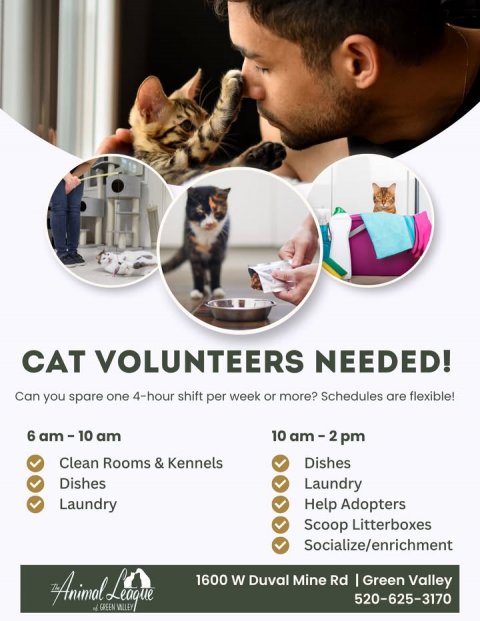 Advertisement, Poster, Person. Text: CAT VOLUNTEERS NEEDED! Can you spare one 4-hour shift per week or more? Schedules are flexible! 6 am-10 am Clean Rooms &amp; Kennels Dishes Dishes Laundry Laundry Help Adopters Scoop Litterboxes Socialize/enrichment 1600 W Duval Mine Rd I Green Valley 520-625-3170