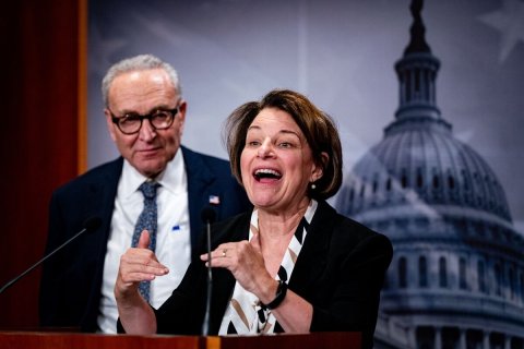 People, Person, Crowd.