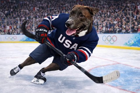 Ice Hockey Stick, Rink, Glove. Text: CCM USA