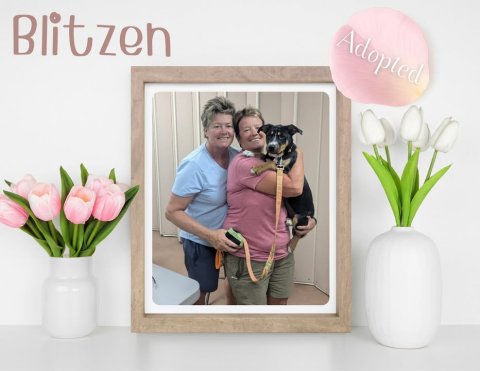 Flower Arrangement, Photography, Portrait. Text: Adopted Blitzen