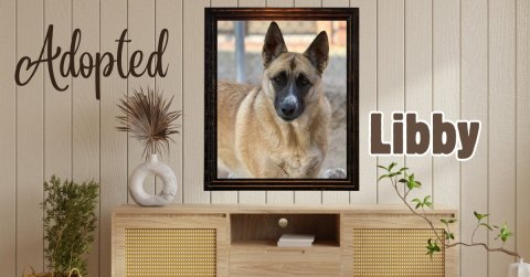Interior Design, Monitor, Screen. Text: Adopted Libby