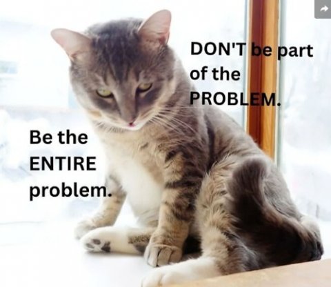 Cat, Pet, Abyssinian. Text: DON'T be part of the PROBLEM. Be the ENTIRE problem.