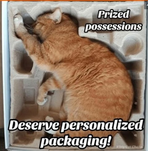 Cat, Manx, Abyssinian. Text: Prized possessions Deserve personalized packaging!