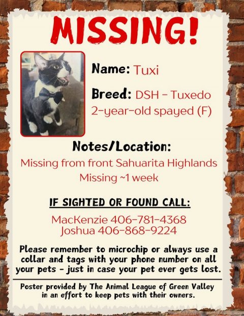 Advertisement, Poster, Cat. Text: MISSING! Name: Tuxi Breed: DSH-Tuxedo 2-year-old spayed (F) Notes/Location: Missing from front Sahuarita Highlands Missing ~1 week IF SIGHTED OR FOUND CALL: MacKenzie 406-781-4368 Joshua 406-868-9224 Please remember to microchip or always use a collar and tags with your phone number on all your pets - just in case your pet ever gets lost. Poster provided by The Animal League of Green Valley in an effort to keep pets with their owners.