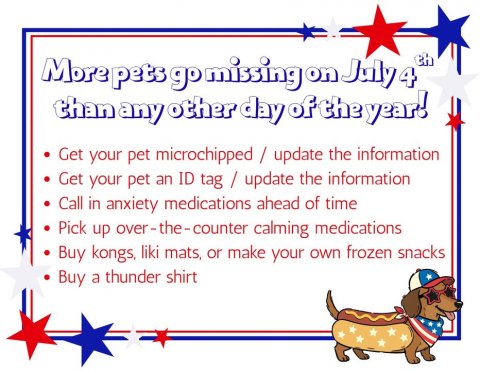 Text, Advertisement, Blackboard. Text: th More pets go missing on July 4 than any other day of the year! Get your pet microchipped / update the information Get your pet an ID tag / update the information Call in anxiety medications ahead of time Pick up over-the-counter calming medications Buy kongs, liki mats, or make your own frozen snacks Buy a thunder shirt